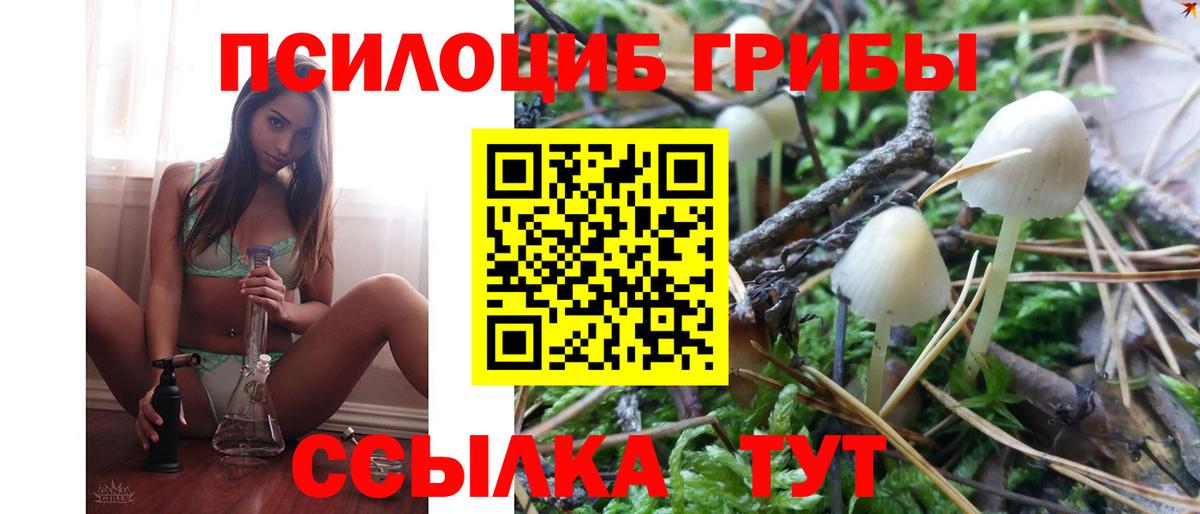 Псилоцибиновые грибы ЛСД Кириши