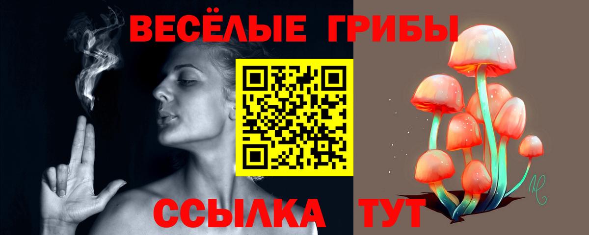 Галлюциногенные грибы MAGIC MUSHROOMS  Вход с VPN  Кириши  Галлюциногенные грибы Cubensis 